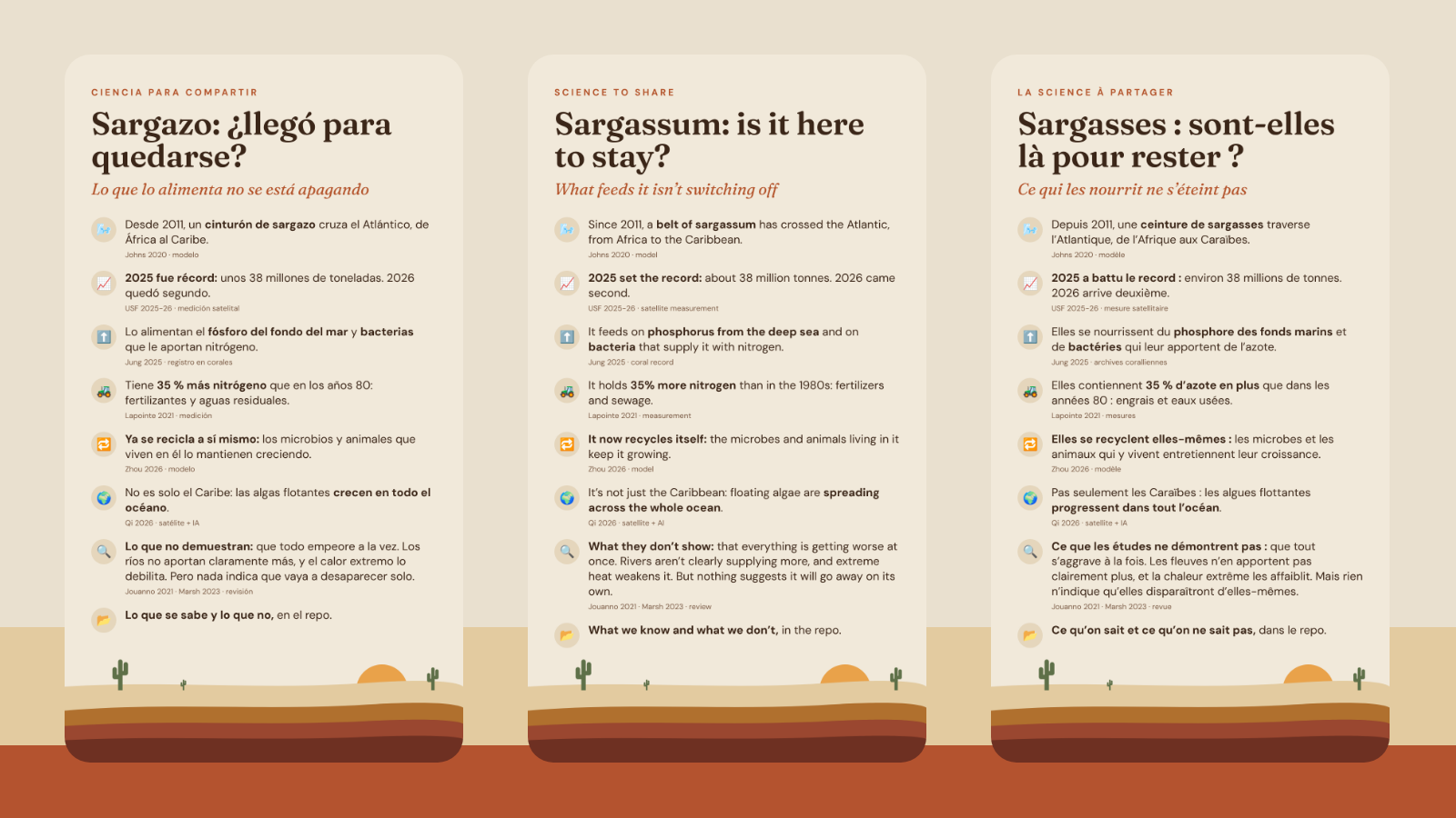 Las stories en español, inglés y francés: Sargazo: ¿llegó para quedarse? / Sargassum: is it here to stay? / Sargasses : sont-elles là pour rester ?
