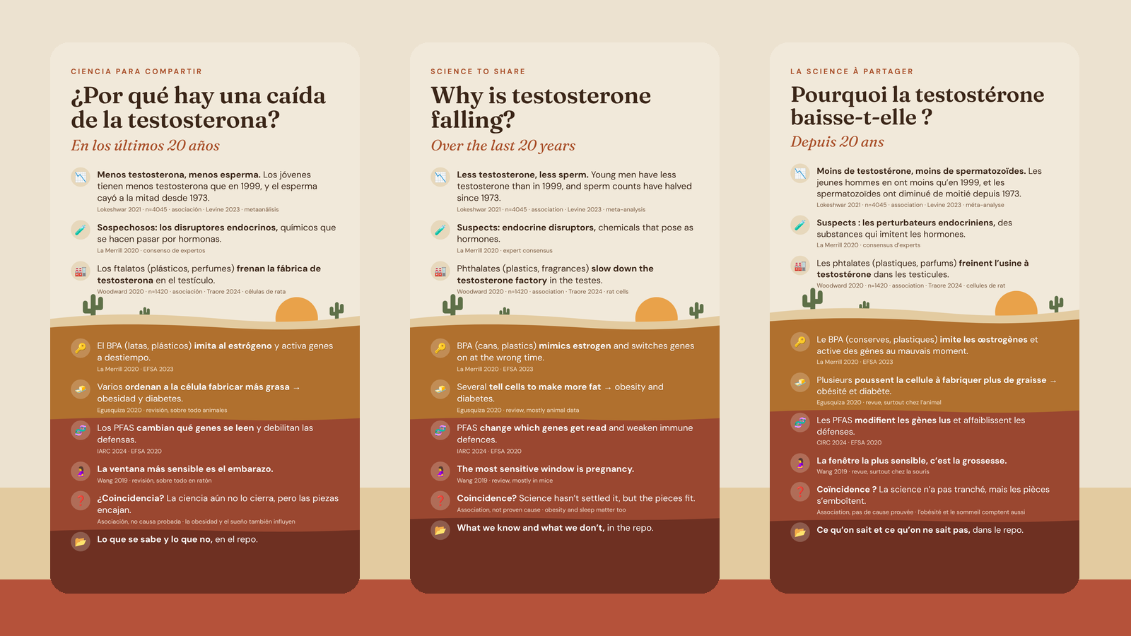 Las stories en español, inglés y francés: ¿Por qué hay una caída de la testosterona? / Why is testosterone falling? / Pourquoi la testostérone baisse-t-elle ?