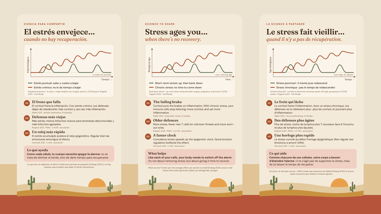 Las stories en español, inglés y francés: El estrés envejece cuando no hay recuperación / Stress ages you when there’s no recovery / Le stress fait vieillir quand il n’y a pas de récupération